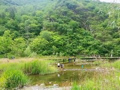 -白河湾生态旅游一条川