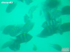 -亚龙湾海底世界