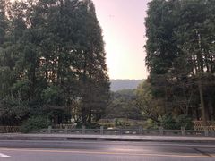 -西湖外事游船(花港观鱼码头)