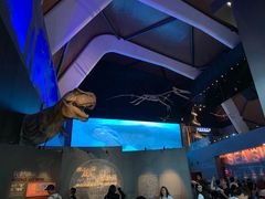 -贝林大翅鲸简餐厅(国家海洋博物馆店)