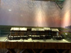 -北海金海湾红树林生态旅游区