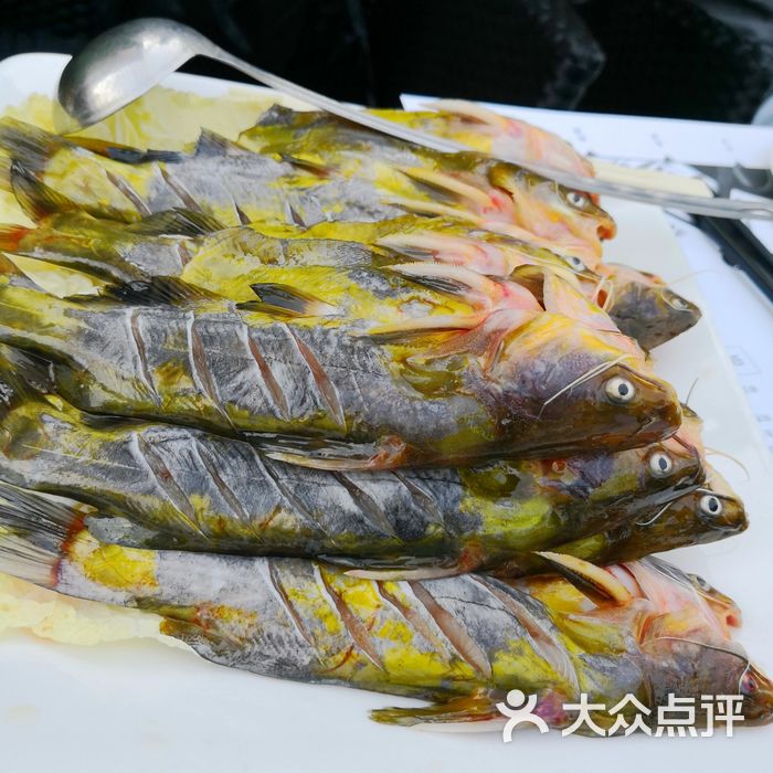 时间仓酸汤黄鸭叫图片-北京湘菜/家常菜-大众点评网