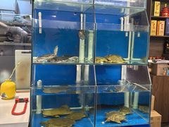 -彭城味道.地道徐州味(怡海花园店)