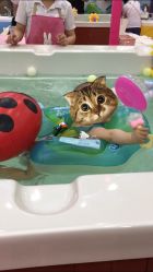 -爱玩爱游亲子母婴(旭辉广场店)