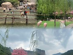 -河南宝泉旅游区