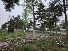 -汉长安城未央宫国家考古遗址公园