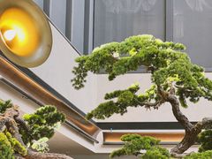 -四季民福烤鸭店(外滩外白渡桥店)