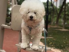 -瑞派康怡24h宠物医院·犬猫医疗中心·微创绝育(瑞景分院)