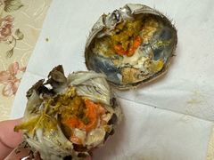 -同銮特种养殖场·龙虾垂钓