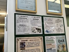 -爱妮康宠物医院·干细胞免疫细胞·肿瘤·心脏(张江店)