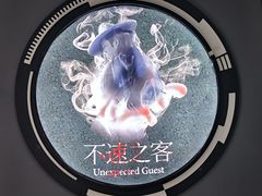 -狂想局密室逃脱(宝山万达店)