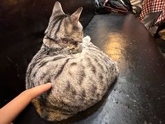 -鼓楼吃面·肉啃肉(南锣鼓巷店)
