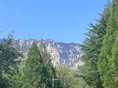 -禅宗少林·音乐大典