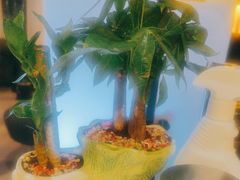 -梵猫·新养生(加州广场店)
