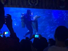 -左海海底世界