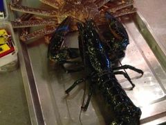 -蟹之国·精品蟹料理(极地店)