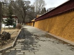 -罗布林卡