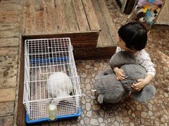 -大象厨房(重庆道店)