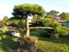 -棠樾牌坊群鲍家花园景区