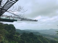 -梦幻奥陶纪景区