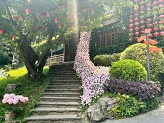 -巴倒烫陆派火锅山庄(南山总店)