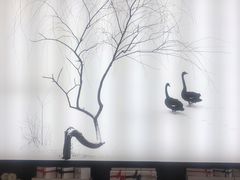 -BLACKSWAN黑天鹅(环球店)