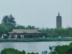 -西海子公园