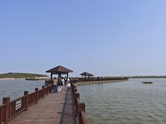 -南大港湿地风景区