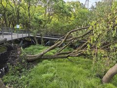 -西湖风景区-江洋畈生态公园