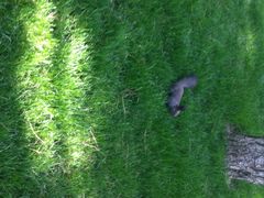 iphone_upload_pic-景山公园