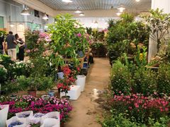 -双季花艺园艺市场(浦东店)