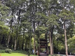 -青城山