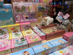 -猫的天空之城概念书店(丽江古城饮玉巷店)