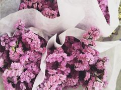 iphone_upload_pic-秦美花卉(天朗·莱茵小城2期店)