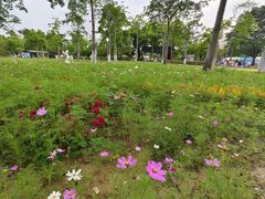 -广东花都香草世界旅游度假区
