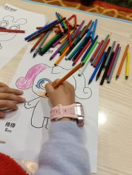 -卡通尼·Safari非洲探索乐园·生日会(金桥国际商业广场店)