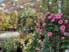 -双季花艺园艺市场(浦东店)