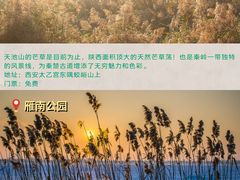 -西安浐灞国家湿地公园