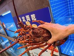 -连鹭海鲜·海肠捞饭·海胆饭(星海店)