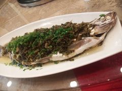 webwxgetmsgimg&nbsp;(10)-浦江餐饮·上海菜馆(五四路店)