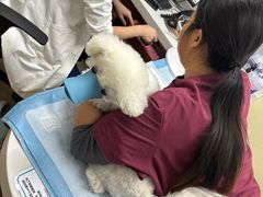 -美联众合动物医院·24h转诊中心