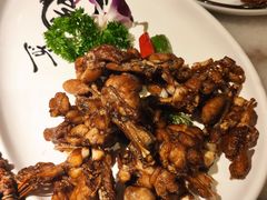 -江南大院松鼠桂鱼(奉贤宝龙店)
