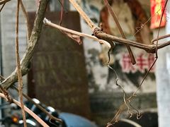 -METAL HANDS(五道营店)