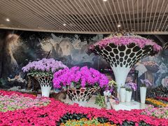 -花之城