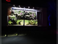 -枫花园汽车电影院(朝阳公园店)