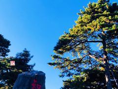 -香山公园