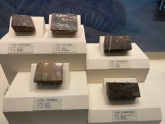 -天津自然博物馆