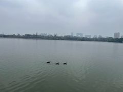 -海珠湖公园