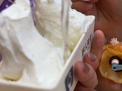 -野人先生现做冰淇淋(北京环宇荟店)
