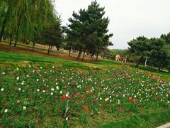 -长春公园(普阳街道)